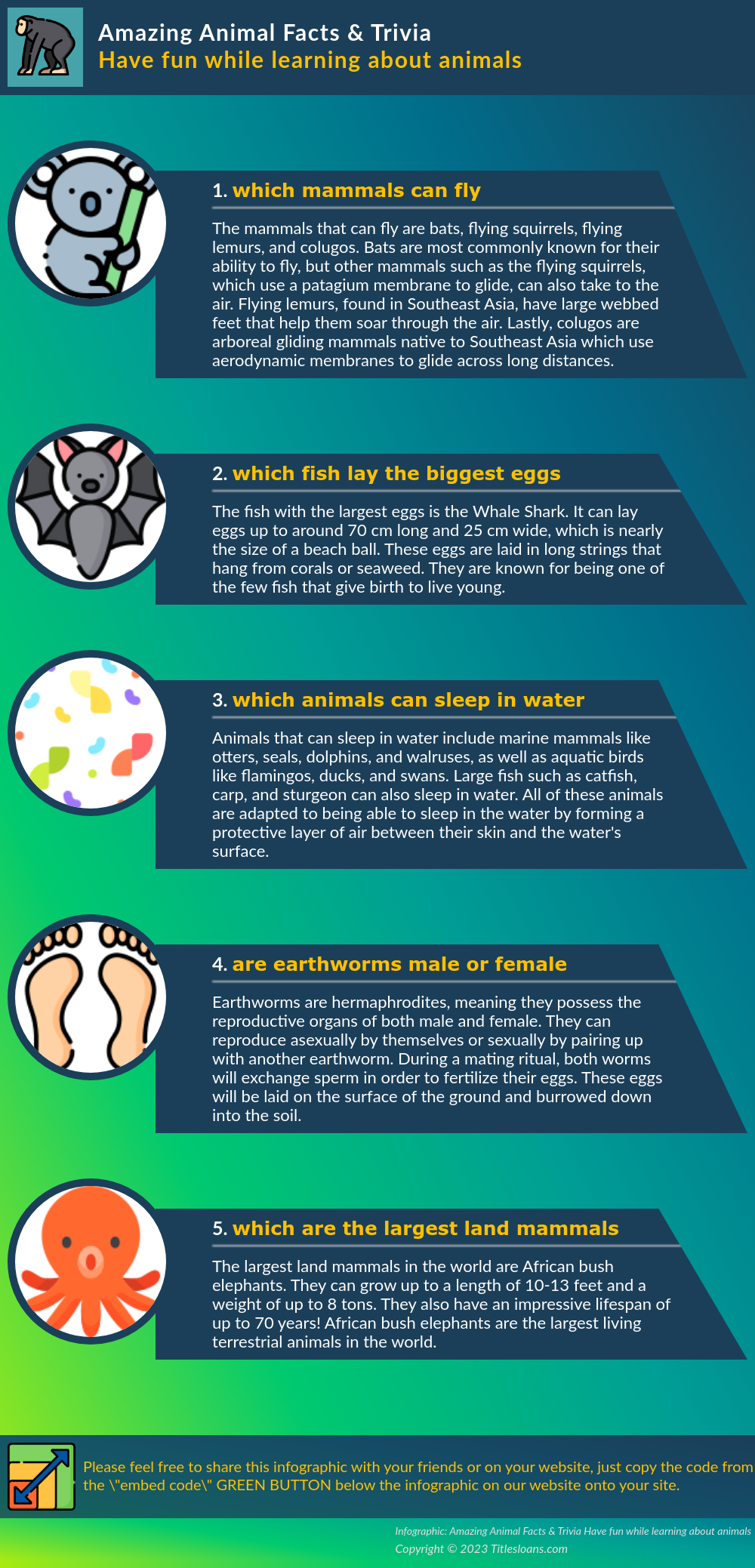 Infographic Amazing Animal Facts Trivia Have fun while learning about animals