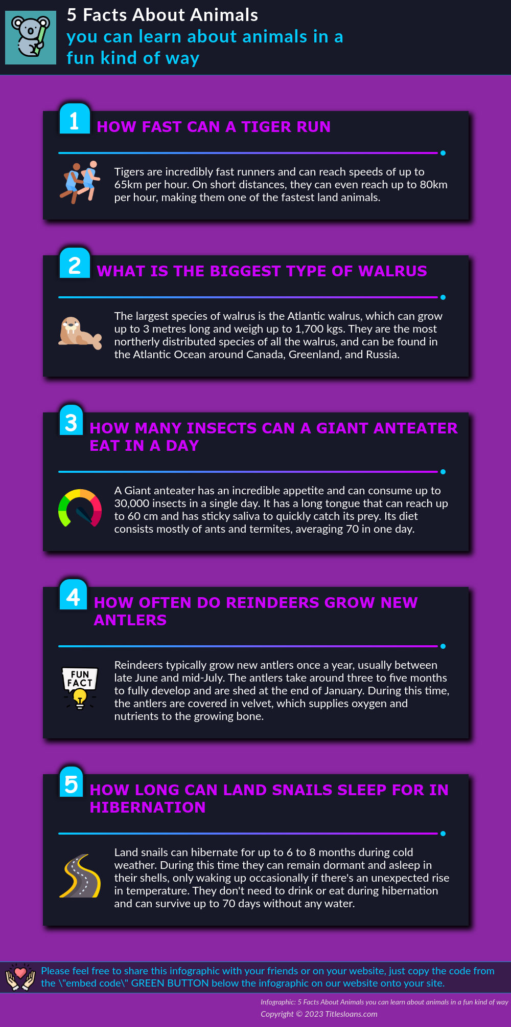 Infographic: 5 Facts About Animals you can learn about animals in a fun kind of way